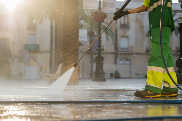 Solar Panel Cleaning in Palm Springs, FL